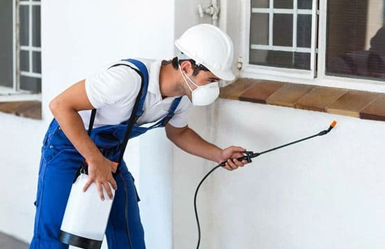 Mobile Pest Control Image